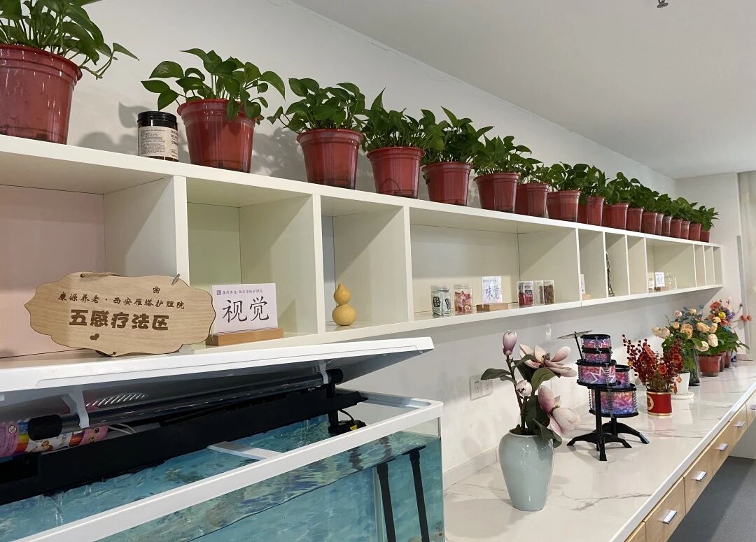 1763429088698836.jpg 12.jpg